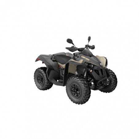 Renegade X XC T 650 | 2022 Renegade X XC T 650 | 2022