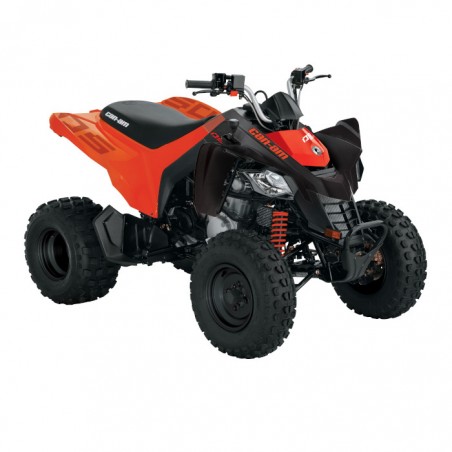 DS 250 DS 250