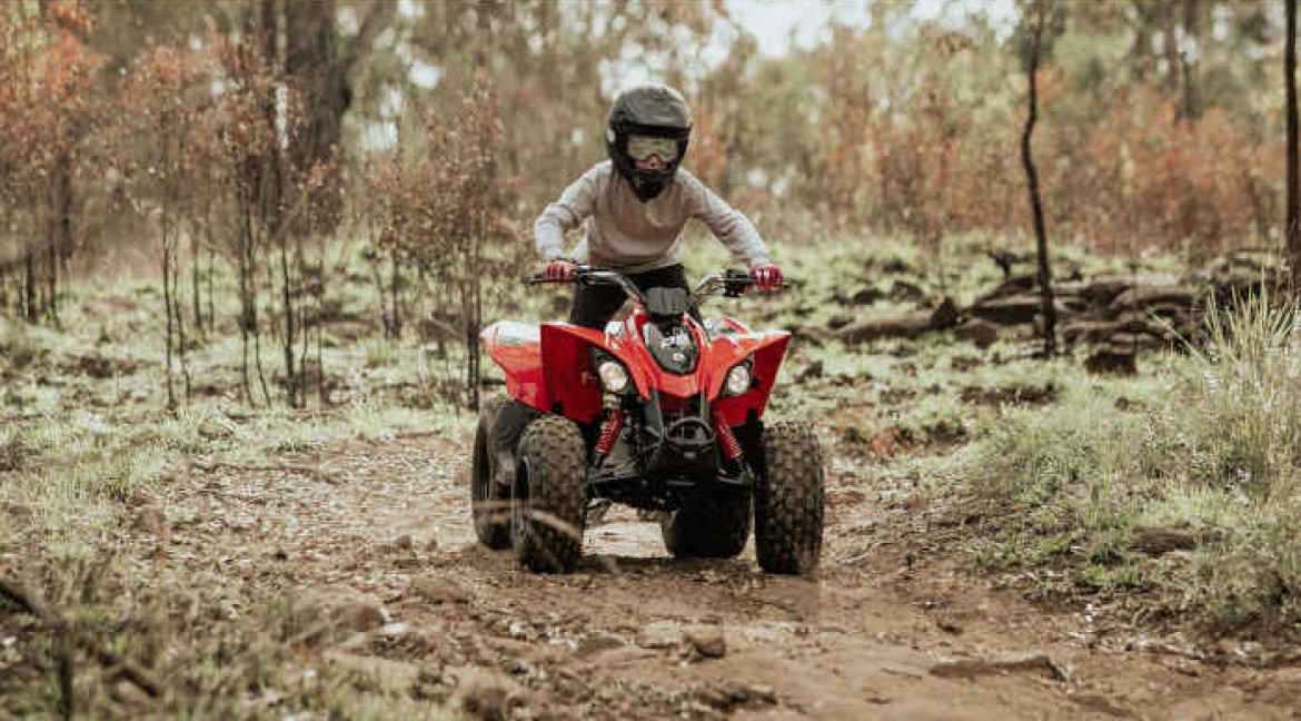 OFF ROAD DS